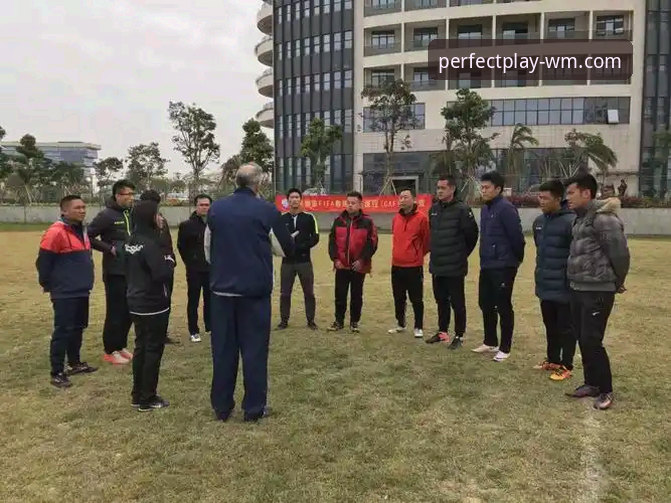 完美体育官方平台最新动态：资深用户分享WM完美平台官网实用心得与安全指南
